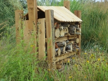 Insect Hotel in Garden at SECWCD. Built by Eagle Scout Nathan Logan Insect Hotel in Garden at SECWCD. Built by Eagle Scout Nathan Logan